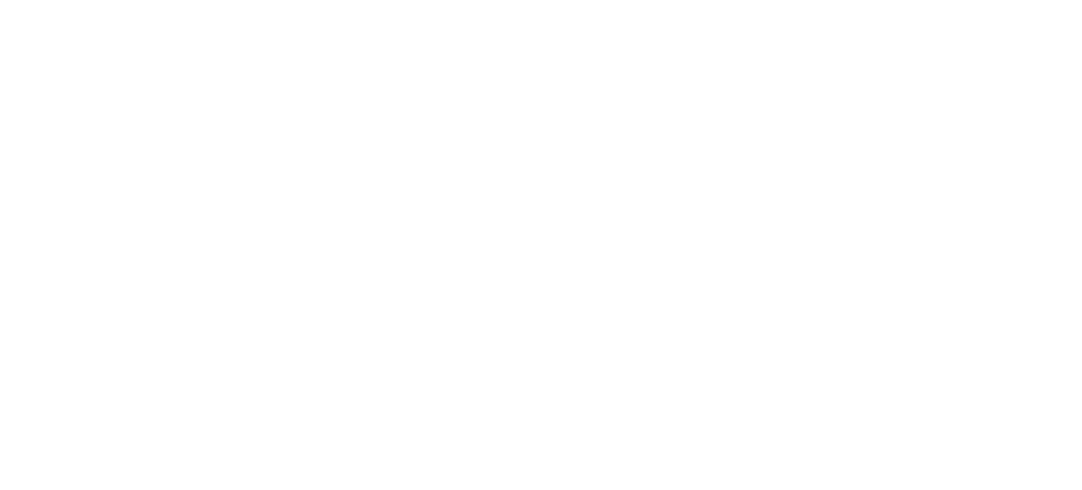 camh foundation logo white