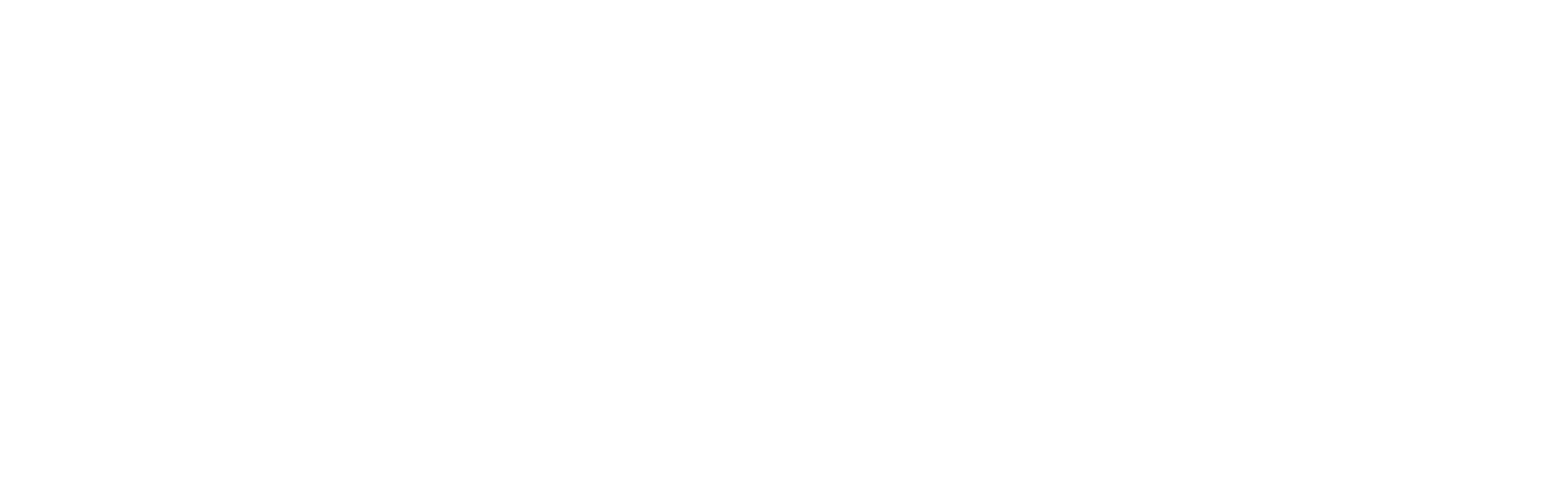 CAMH - White Logo